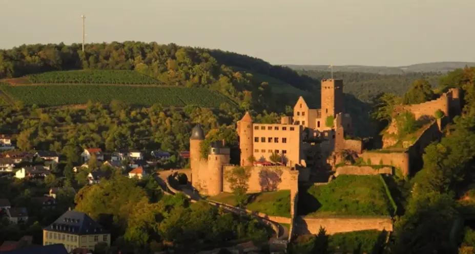 Weingut Alte Grafschaft - vingården som grundades 1594 Weingut Alte Grafschaft - vingården som grundades 1594