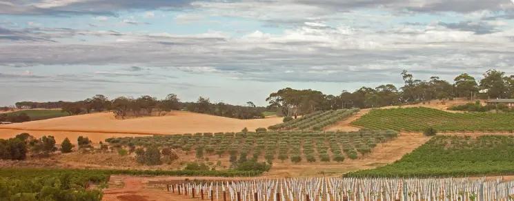 Din guide till vinregionen South Australia och de bästa vingårdarna