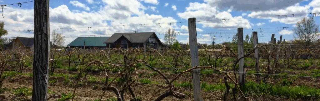 Shaw Wines - en mysig vingård i Murrumbateman stad