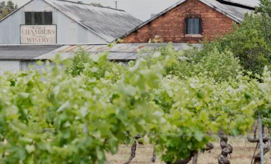 Chambers Rosewood Winery - vingården som grundades 1858