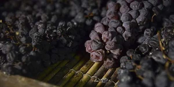 Ripasso - torkade druvor Ripasso - torkade druvor