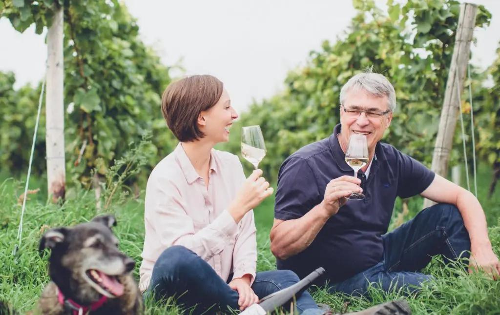 Rheinhessens vingårdar