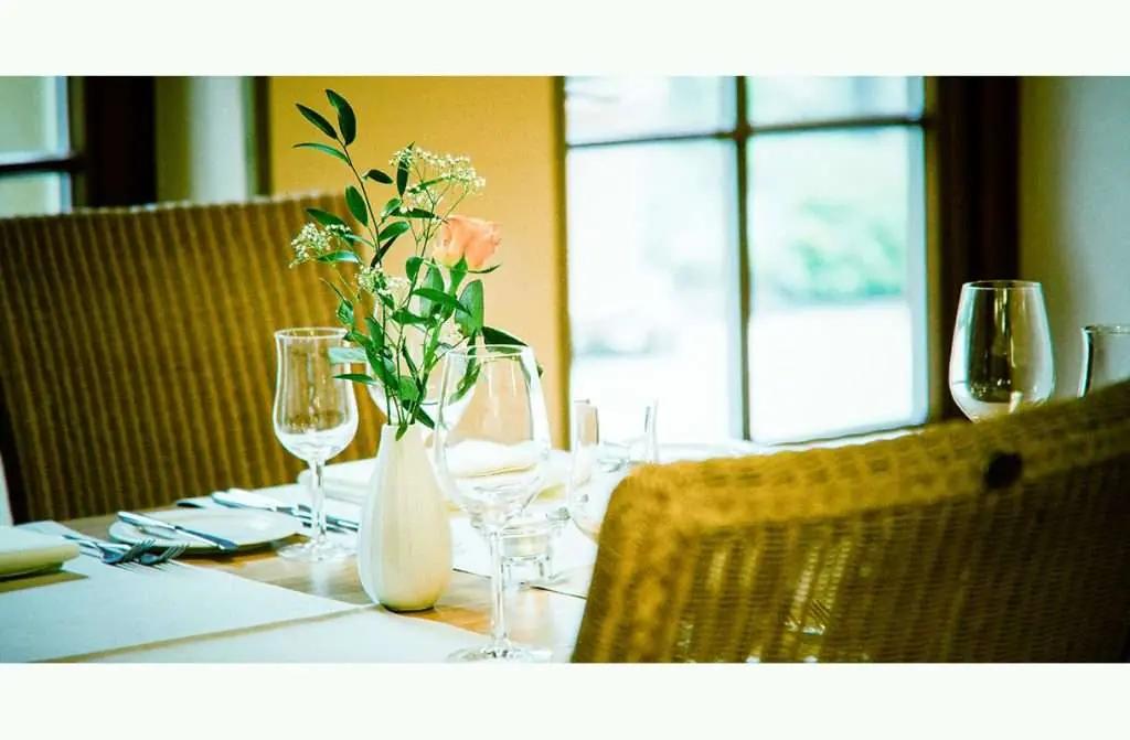 Rheinhessens vingårdar