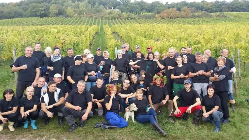 Rheingaus vingårdar