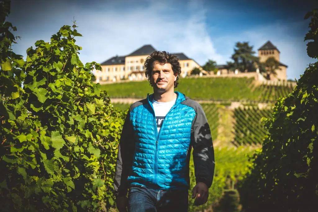 Rheingaus vingårdar