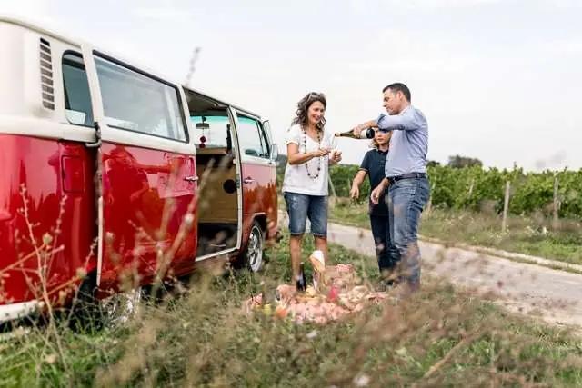 Rheingaus vingårdar