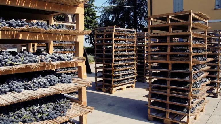 Emilia-Romagna – Din guide till en av de bästa vinregionerna i Italien