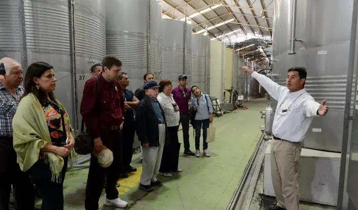 Nya världens viiner - guidad tur hos producenten Santa Rita