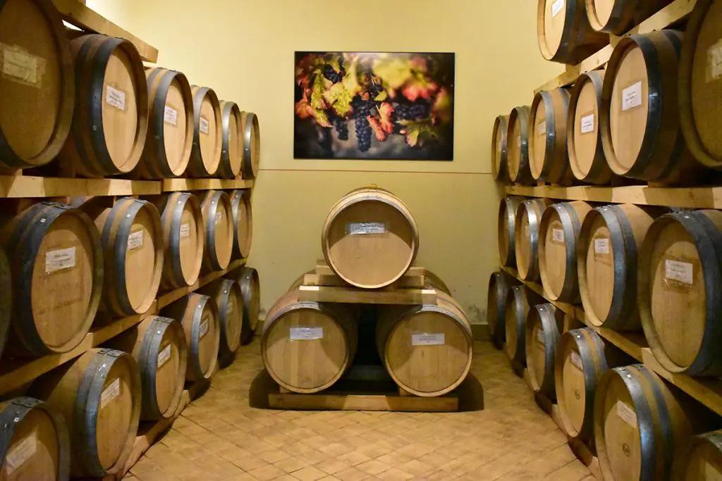 Vinregionen Umbria – Din guide till de bästa vinerna och vingårdarna i regionen