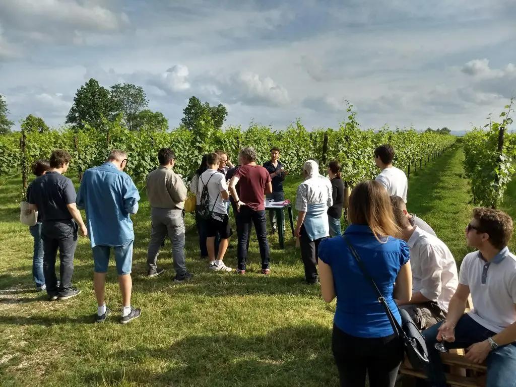 Emilia-Romagna – Din guide till en av de bästa vinregionerna i Italien