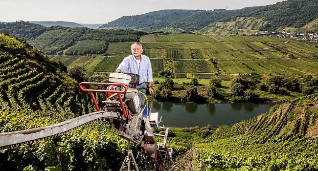 Mosel - banan upp på sluttningarna