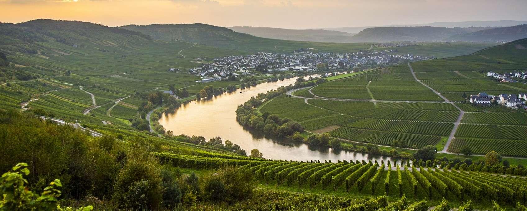 Mosel – där Riesling-vinerna är de bästa!