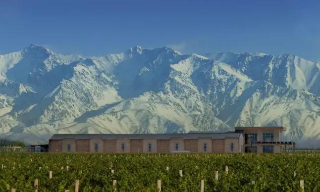 Domaine Bousquet - Vingården med franska rötter