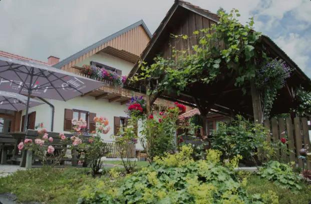 Weingut Hiden - Vingården med restaurang