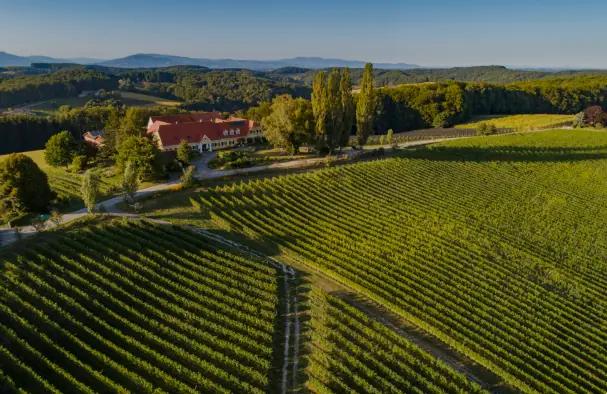 Herrenhof Lamprecht - Vingården som producerar ekologiska viner