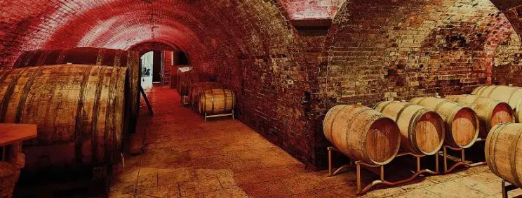 Weingut Neustifter - 100 meter lång vinkällare