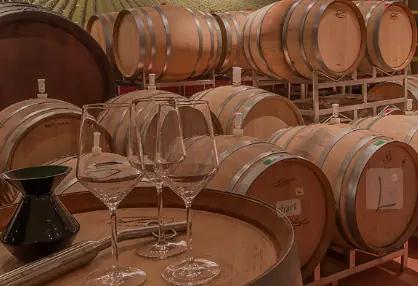 Weingut Alphart - Vingården som grundades 1762