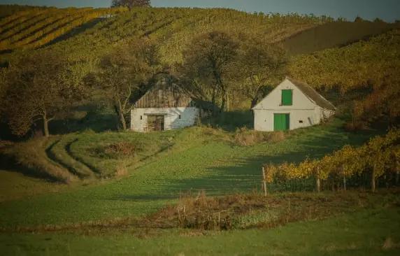 Weinrieder - Minimal påverkan under vinframställningen