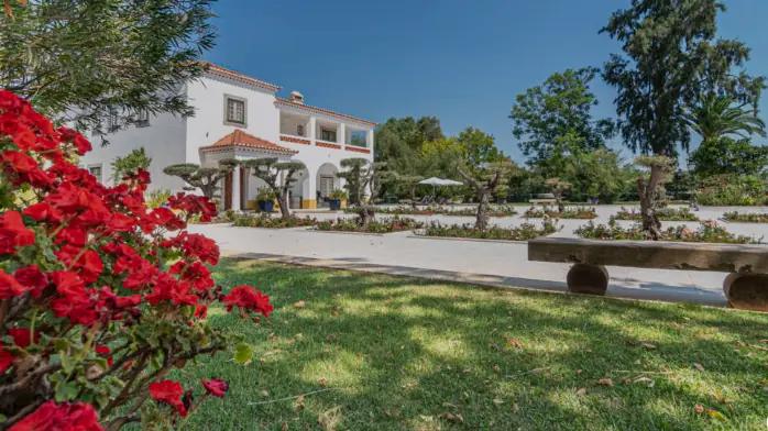 Herdade Da Calada - stor producent av både vin och oljor