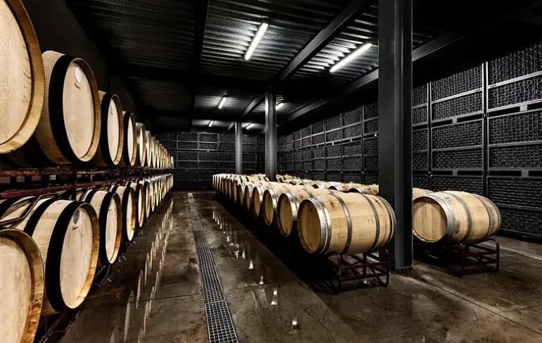 Ribafreixo Wines - producerar prisbelönta veganska viner