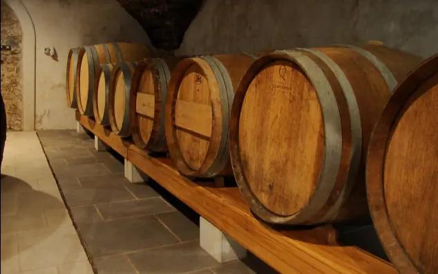 Petrič Winery - Vingården med de unika fruktiga vinerna