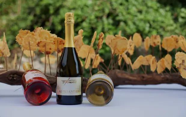 Kmetija Tomažič - Yngre generation leder till nya viner