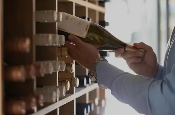 Zaro Wines - Vingården som även producerar olivolja