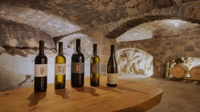 Vina Poljšak - Vingården som erbjuder vin och mat