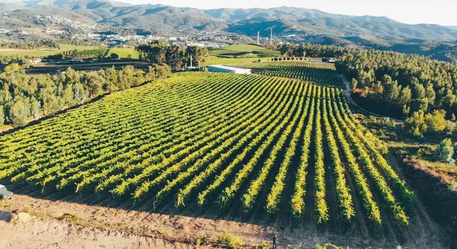 Quinta Da Raza - använder hållbara principer för att producera kvalitativa viner