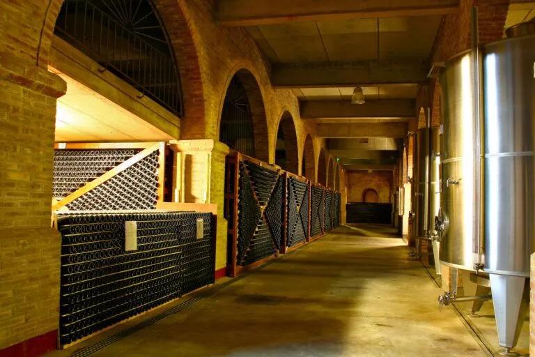 Den viktigaste vinregionen i Argentina – Guide till vingårdarna i Mendoza