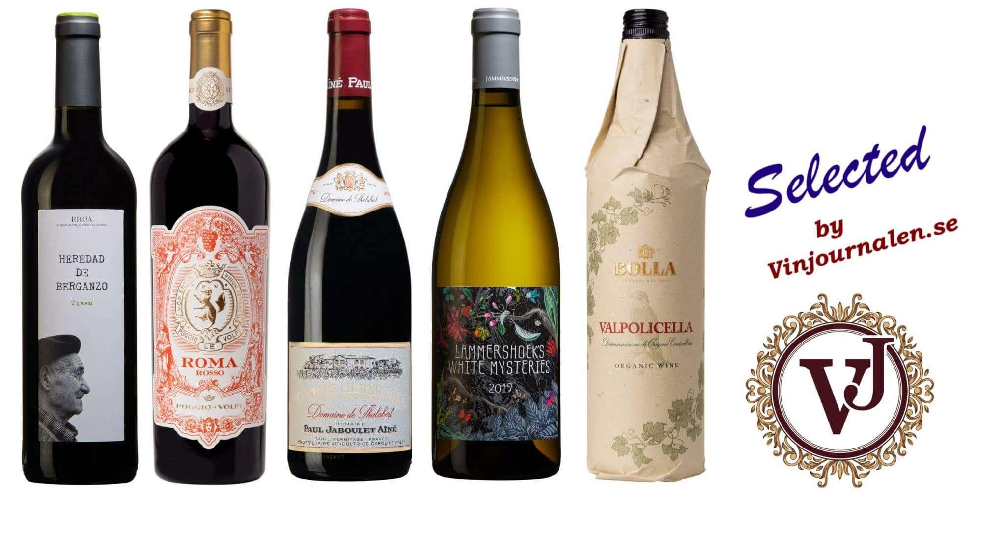 Vintips 2020 – fem goda nyheter för i år! Vintips 2020 – fem goda nyheter för i år!