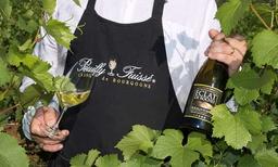 Välkommen till vinregionen Pouilly-Fuissé!