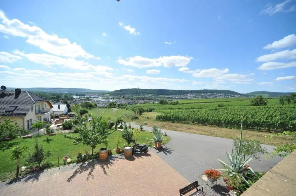 Rheingaus vingårdar