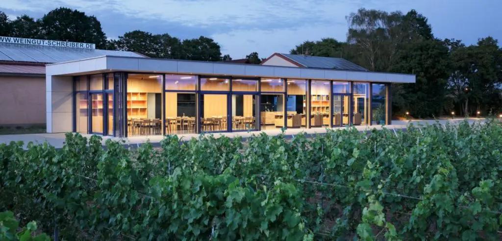 Rheingaus vingårdar