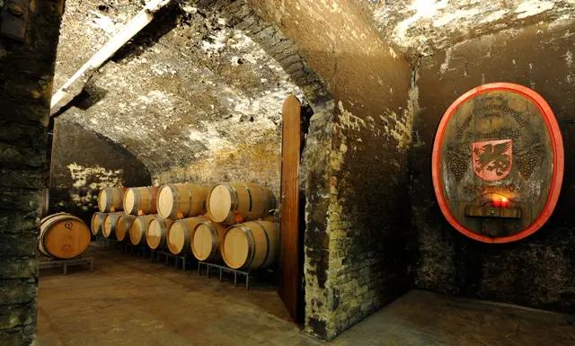 Rheingaus vingårdar