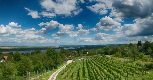 Vinregionen Belgrad i trendiga Serbien!