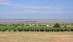Vinregionen Burgenland