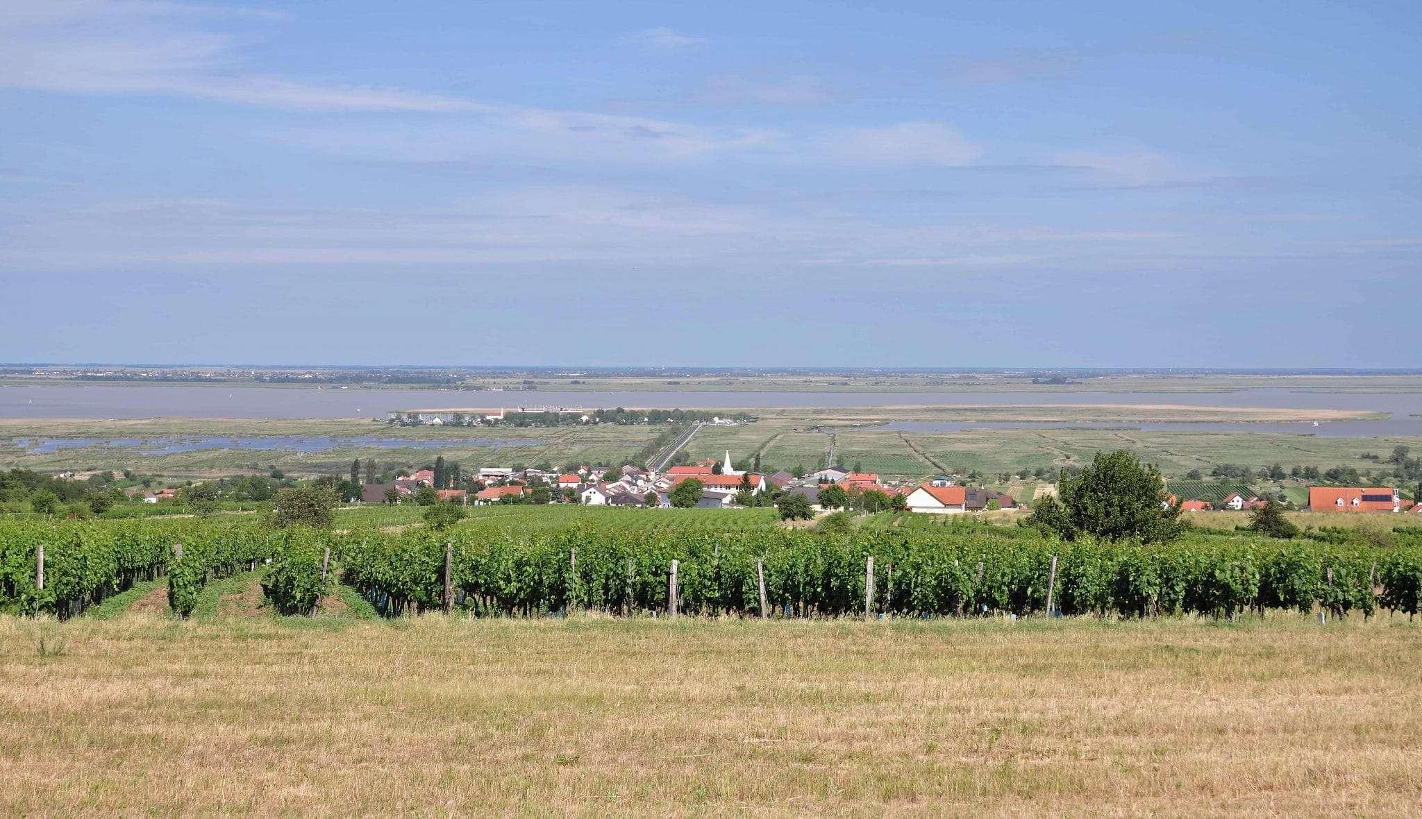 Vinregionen Burgenland