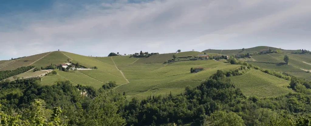 Azienda Agricola Bricco Maiolica Azienda Agricola Bricco Maiolica