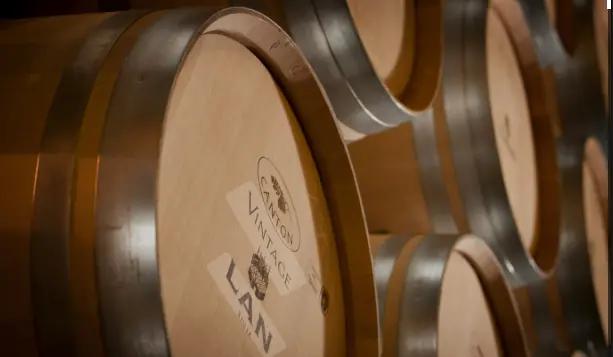 Wineries for Climate Protection – Vinproducenters hållbarhetsaktion Wineries for Climate Protection – Vinproducenters hållbarhetsaktion