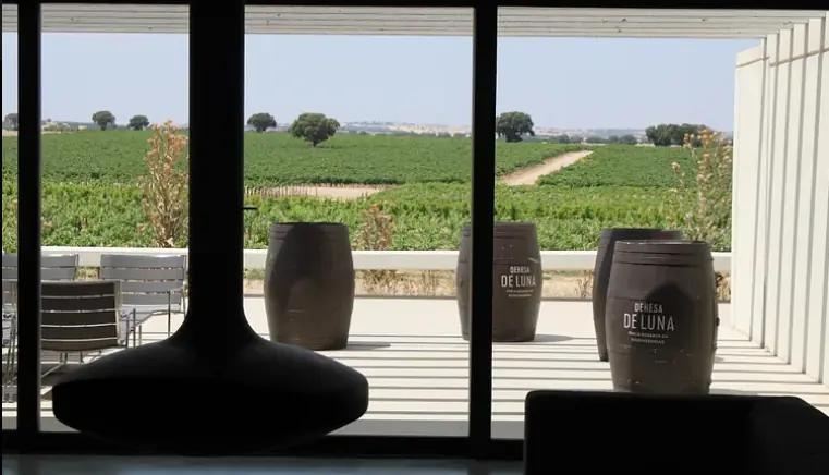 Dehesa De Luna Dehesa De Luna