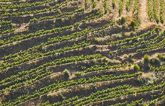 Alter blanco - vinterasser på hög höjd