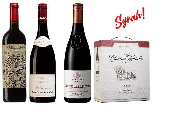 yrah och Shiraz provning Syrah viner