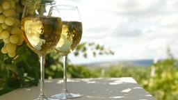 Experten tipsar: Olika sorter av torrt vitt vin