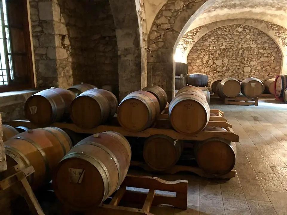 Vinregionerna Central Marche och Lazio – Din insider guide till två av Italiens bästa vinregionerna och dess vingårdar