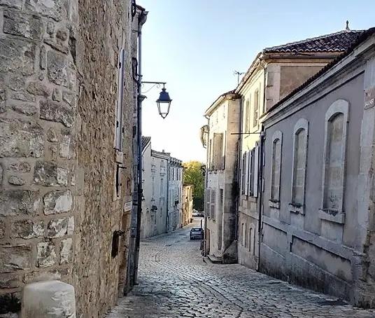 Konjak görs i regionen Cognac