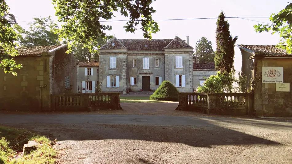 Konjak görs i regionen Cognac