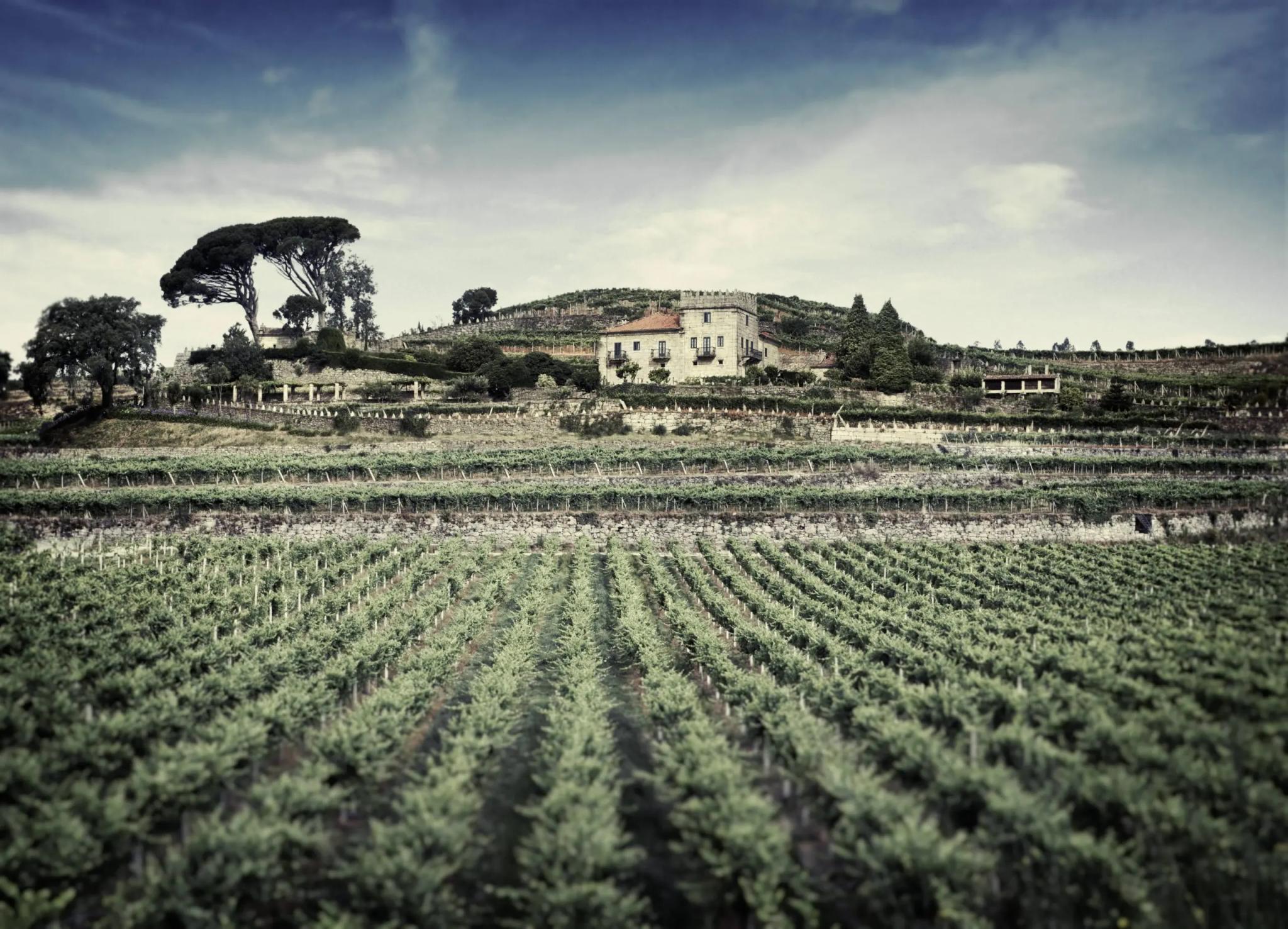 Galicia – Din guide till vinprovning i vinregionen Galicien i Spanien