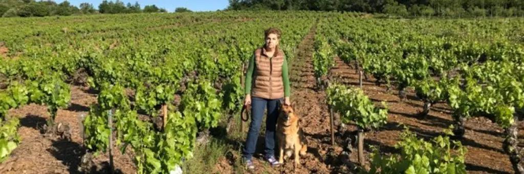 Kastilien och Leon, för den som vill känna historiens vingslag