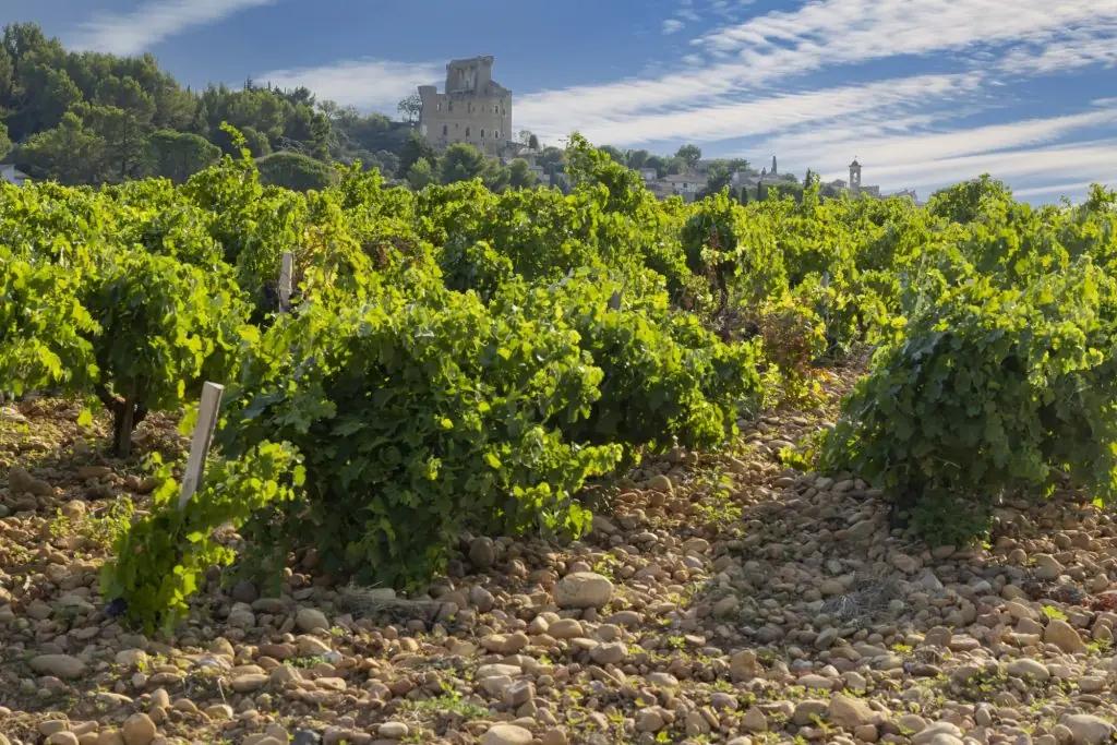 cotes-du-rhone